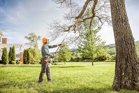 How Our Tree Care Process Works  in  Elm Creek, TX