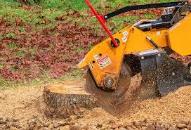 Best Organic Lawn Care Solutions  in Elm Creek, TX