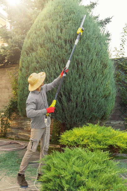 Best Artificial Turf Installation  in Elm Creek, TX